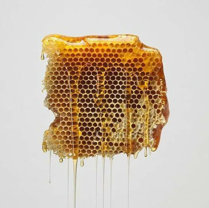 HONEY Token